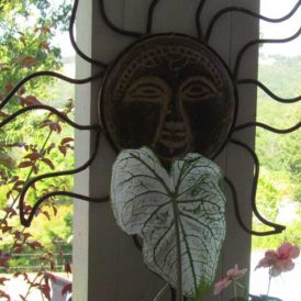 Summer Fashion Image